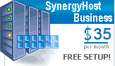 SynergyHost Business