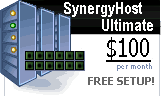 SynergyHost Ultimate [plan 1]